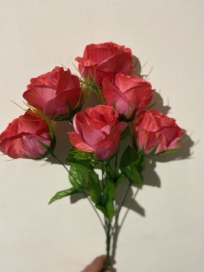 Бутон гігант 6 голів Атлас