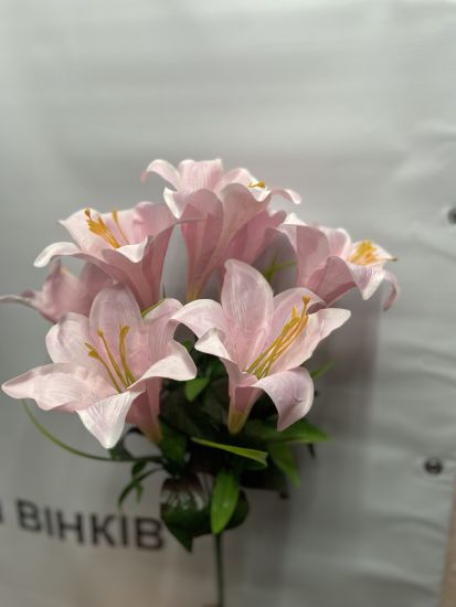 Ліля 7 голів