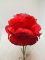 Штучні квіти Гвоздика Оксамитова (Бархатна) Одиночна  ІІ000283140