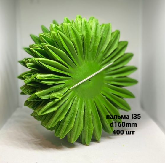 Лист l35 пальма