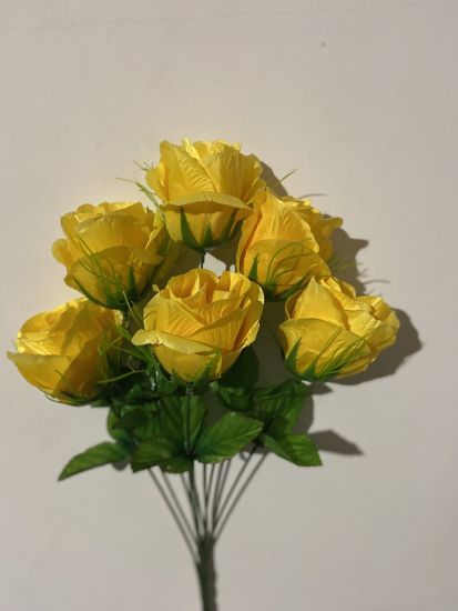 Бутон гігант 6 голів Атлас