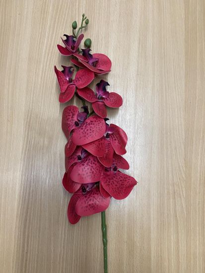 Штучні квіти Орхідея латекс ІІ0102105 105 см 9голів