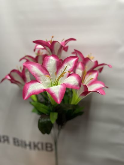 Ліля 7 голів