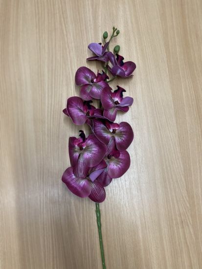 Штучні квіти Орхідея латекс ІІ0102105 105 см 9голів