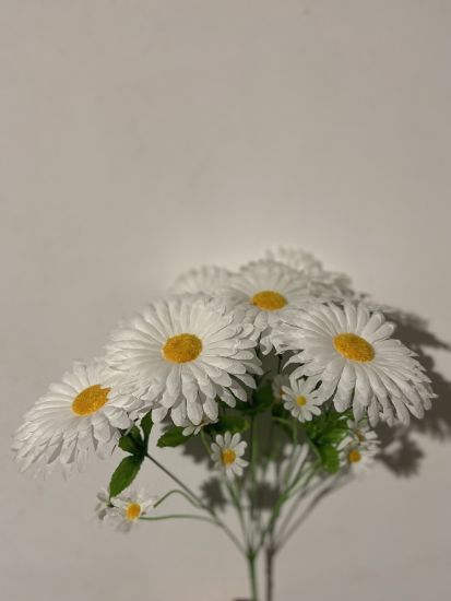 Ромашка OA 7 голів з добавками