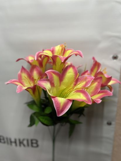 Ліля 7 голів