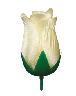 Бутон Троянди