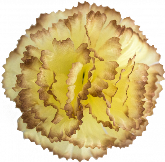 Гвоздика 85 мм