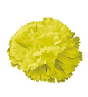 Гвоздика 85 мм