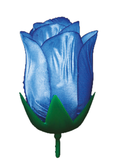 Бутон Троянди