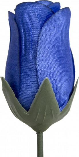 Бутон Троянди