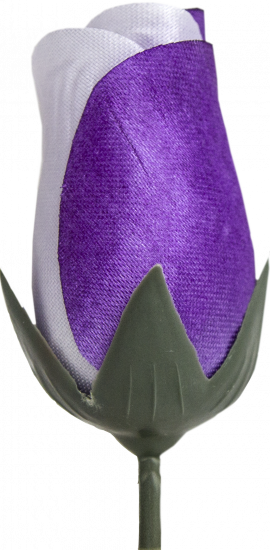 Бутон Троянди