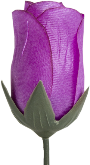 Бутон Троянди