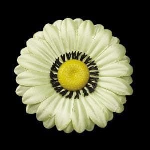 Штучні квіти Гербера Нова Атлас ST