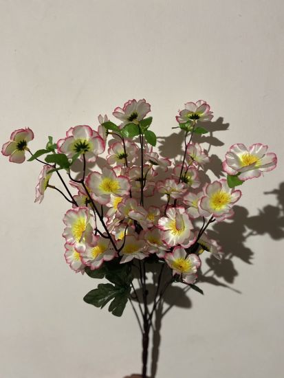 Сакура  ОА 00120 6