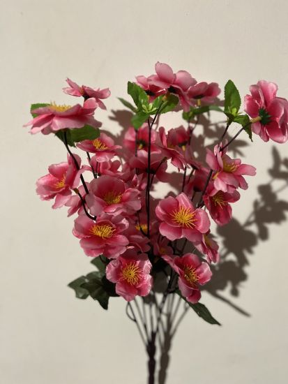 Сакура  ОА 00120 6