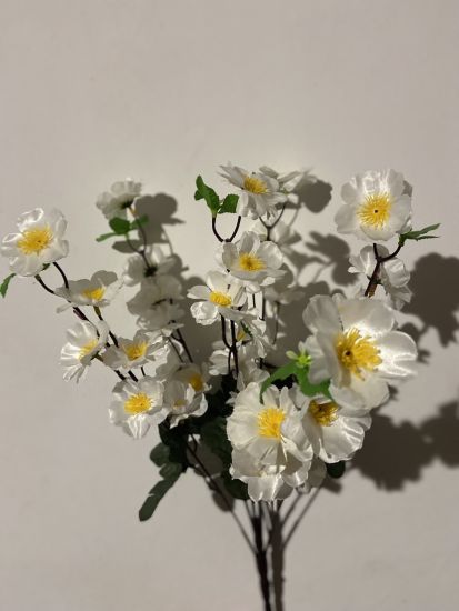 Сакура  ОА 00120 6