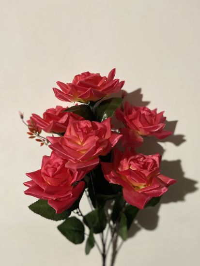 Троянда Атлас 7 голів