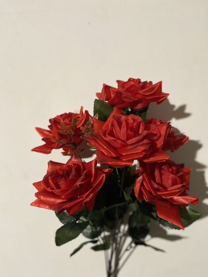 Троянда Атлас 7 голів