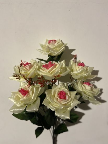 Троянда Атлас 7 голів