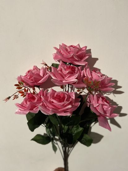 Троянда Атлас 7 голів