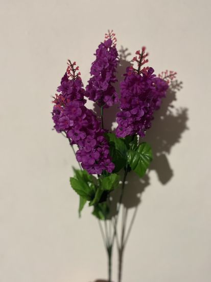 Букет Бузок 6 голів