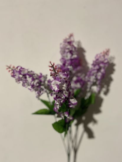 Букет Бузок 6 голів