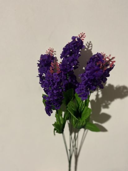 Букет Бузок 6 голів