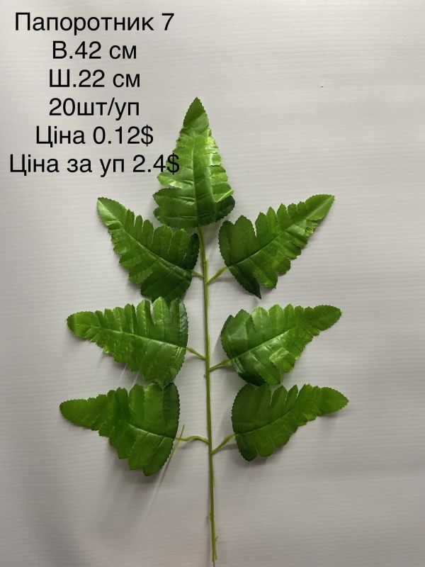 Лист Папароті 7