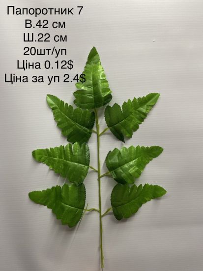 Лист Папароті 7