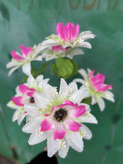 Букет Далія vv001201 6 голів