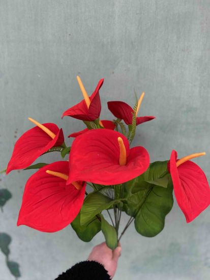 Штучні квіти Кала Оксамитова VV00185012 7Голів