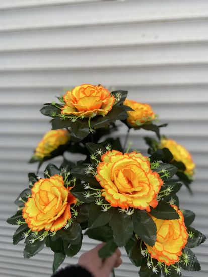 Букет  Троянда R005510 9Голів