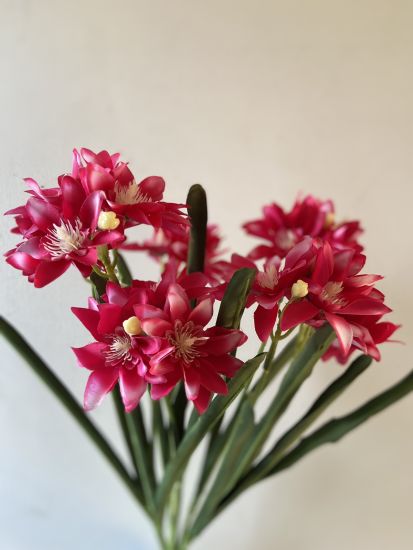 Штучні квіти Букет Епіфіллум 7 ніжок  21 голова  VV00275410