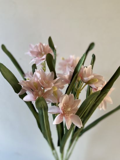 Штучні квіти Букет Епіфіллум 7 ніжок  21 голова  VV00275410