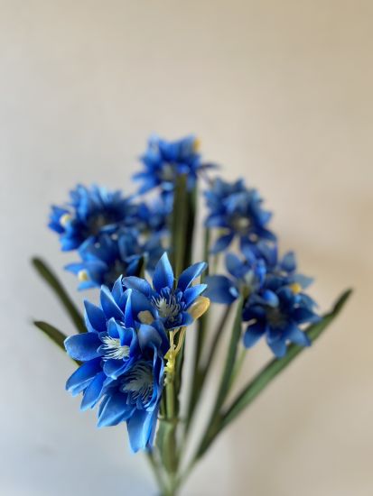 Штучні квіти Букет Епіфіллум 7 ніжок  21 голова  VV00275410