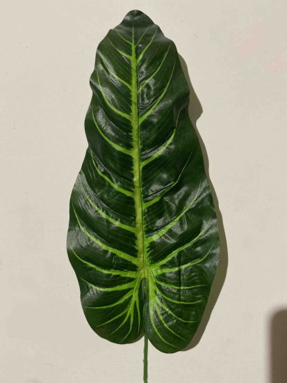 Штучне листя Лист Алоказія тропічна  ОА00090120