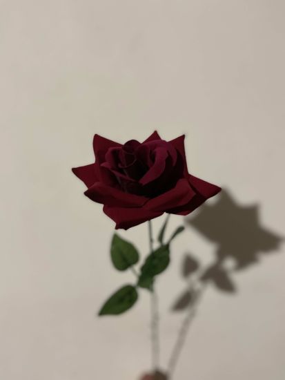 Троянда Оксамитова(Бархатна) Одиночна ІІ001300125  Висота 65 см