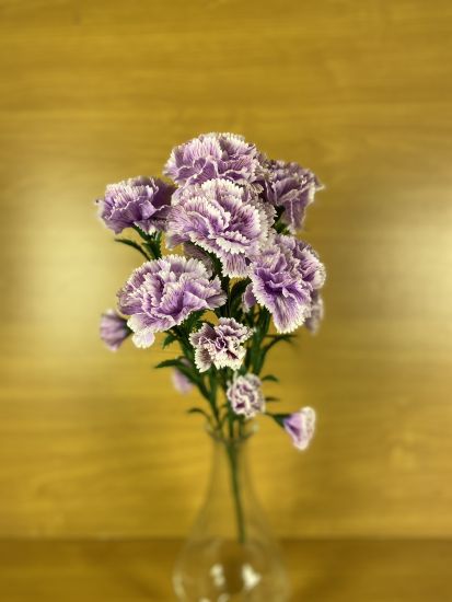 Штучні квіти Букет Гвоздика  ОА000952010 7 голів 14 квіток