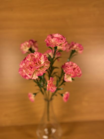 Штучні квіти Букет Гвоздика  ОА000952010 7 голів 14 квіток