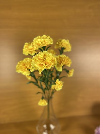 Штучні квіти Букет Гвоздика  ОА000952010 7 голів 14 квіток